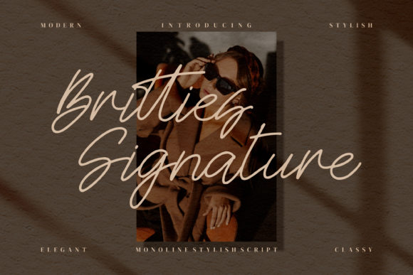 Britties Signature: A Refined Script Font for Real Business Branding