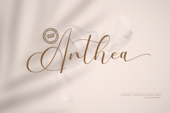 Choosing Anthea for a Modern Website Design